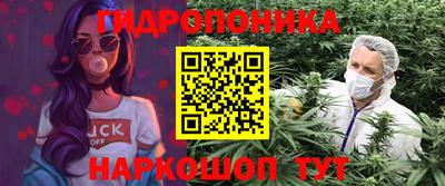 стафф Тверь
