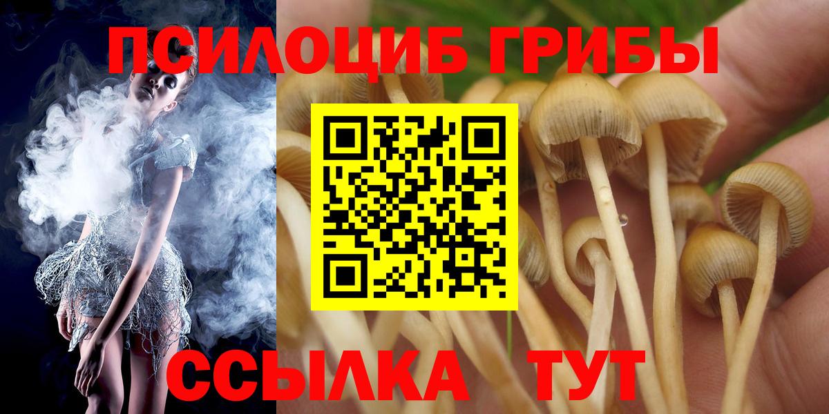 Псилоцибиновые грибы прущие грибы  Вход с VPN  Псилоцибиновые грибы GOLDEN TEACHER  Петрозаводск 